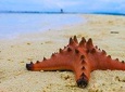 Camiguin Island Tour 3Days and 2nights