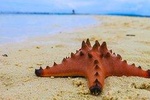 Camiguin Island Tour 3Days and 2nights