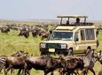 Private 10 Days Best of Kenya Big Five Wildlife Safari