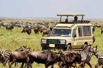 Private 10 Days Best of Kenya Big Five Wildlife Safari
