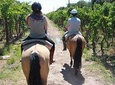 Horseback ride through vineyards followed by gourmet asado lunch