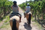 Horseback ride through vineyards followed by gourmet asado lunch