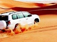 Red Dunes Safari with BBQ dinner, Sandboarding, Falcon & Camel Ride