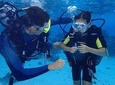 Combo Diving and Snorkeling Half-Day Tour