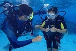 Combo Diving and Snorkeling Half-Day Tour