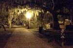 Savannah Hauntings Tour