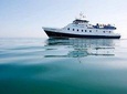 Dublin Bay Cruise