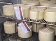 Idiazabal Cheese farm visit with tasting