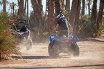 Quad Adventure 