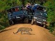 Private 02 Day Leopard Safari in Yala from Bentota