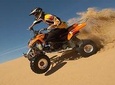 Half-hour Quad Bike Ride, Safari with BBQ Dinner & Camel Ride 