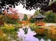 Day Trip to Nami Island with The Garden of Morning Calm