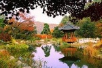 Day Trip to Nami Island with The Garden of Morning Calm