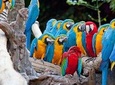 Essential Costa Rica - Package with Guanacaste