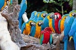 Essential Costa Rica - Package with Guanacaste
