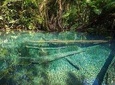 ATV, Kayaking & Swimming in Hidden Freshwater Lagoon, Unseen Krabi Half Day Trip