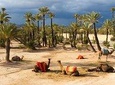 THE GRAND TOUR OF MOROCCO