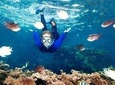 Snorkeling And Beach Barbecue In Goa