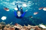 Snorkeling And Beach Barbecue In Goa