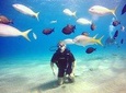 TRY DIVE