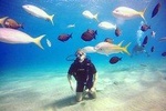 TRY DIVE