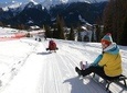 The most famous sledge slope in the Dolomites and a panoramic tour by car