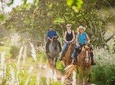 1 Hour Scenic Horseback Ride