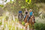 1 Hour Scenic Horseback Ride