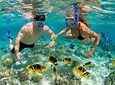 Full Day in Playa Blanca - Barú with Snorkel