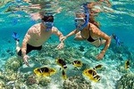 Full Day in Playa Blanca - Barú with Snorkel