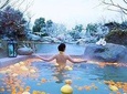 Xitang Water Town Private Tour from Hangzhou with Hot Spring Experience