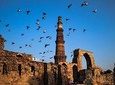Heritage Tour of Delhi including Qutub Minar and Mehrauli Archaeological Park