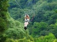 Zipline Tour in Braulio Carrillo National Park From San José