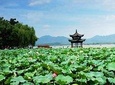 Private Customized Hangzhou City Highlights and Wuzhen Water Town Comb Tour