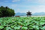 Private Customized Hangzhou City Highlights and Wuzhen Water Town Comb Tour
