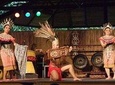 Sarawak Cultural Village Tour with Tickets
