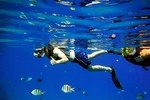 SNORKELING
