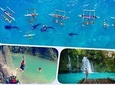 Private Cebu Day Tour: Oslob Whaleshark, Canyoneering , Kawasan Falls