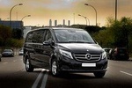 Arrival Private Transfer Auckland Airport to North Shore or Henderson Luxury Van