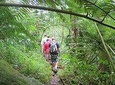 Hawaiian Waterfall Hike
