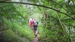 Hawaiian Waterfall Hike