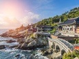 Cruise Layover: Full-day Customizable Private Busan Highlight Tour