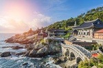 Cruise Layover: Full-day Customizable Private Busan Highlight Tour