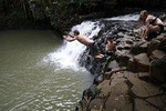 Waterfall & Rainforest Hiking Adventure