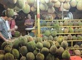 King of Tropical Fruits - Durian Tasting Tour From Kuala Lumpur