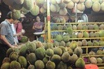 King of Tropical Fruits - Durian Tasting Tour From Kuala Lumpur