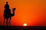 Camel Safari at Osian with exclusive dinner from Jodhpur