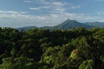 Full day Sarapiqui from San Jose Volcano Hike watch wild life and Kayaking tour