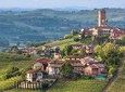 Piemonte Vineyards by Yourself from Turin - Business Car with English Chauffeur