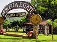 Private Appleton Estate Rum Tour & Tasting from Montego Bay
